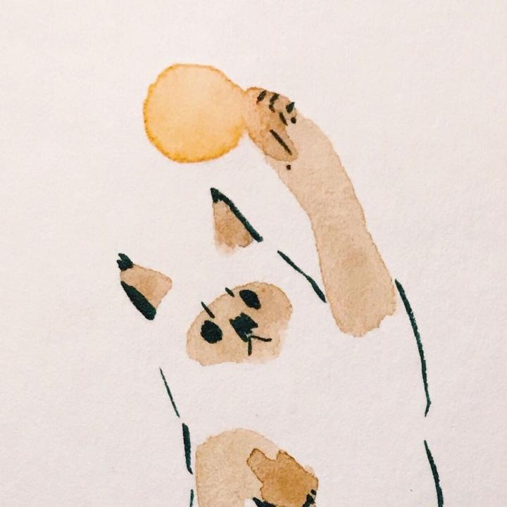 阿蔡想努力成为小厨娘w