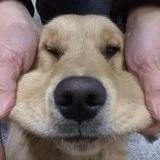 林子姐