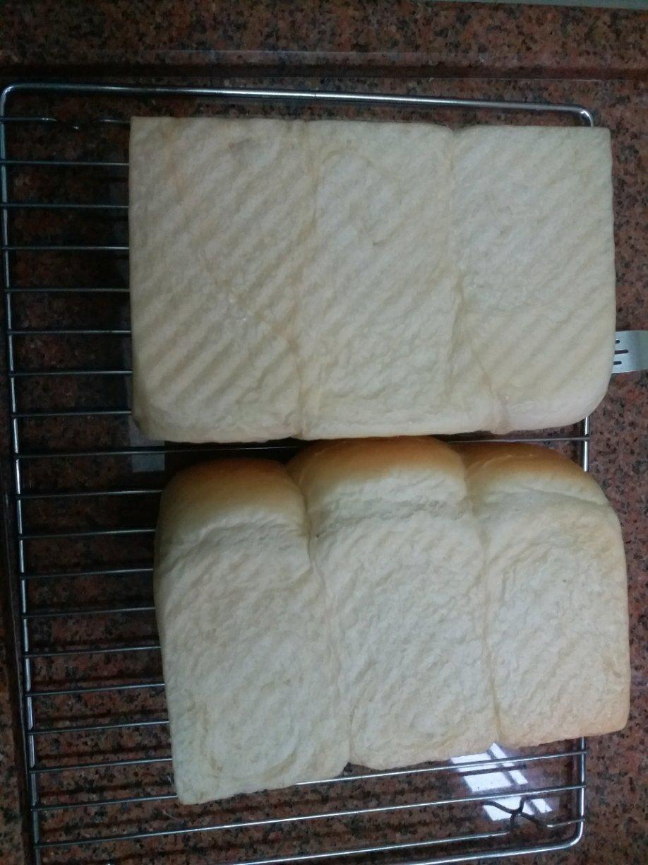 夺命软吐司(๑´ڡ`๑)超软拉丝极速方便的一次发酵吐司