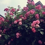 滴滴嗒嘀嗒
