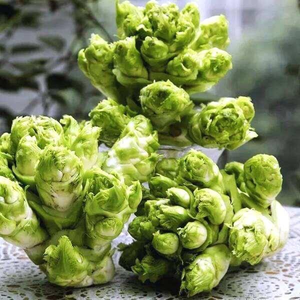 0人做过这道菜慧媛小姐姐用料儿菜(娃娃菜,观音菜)1颗醋1勺麻油1勺盐