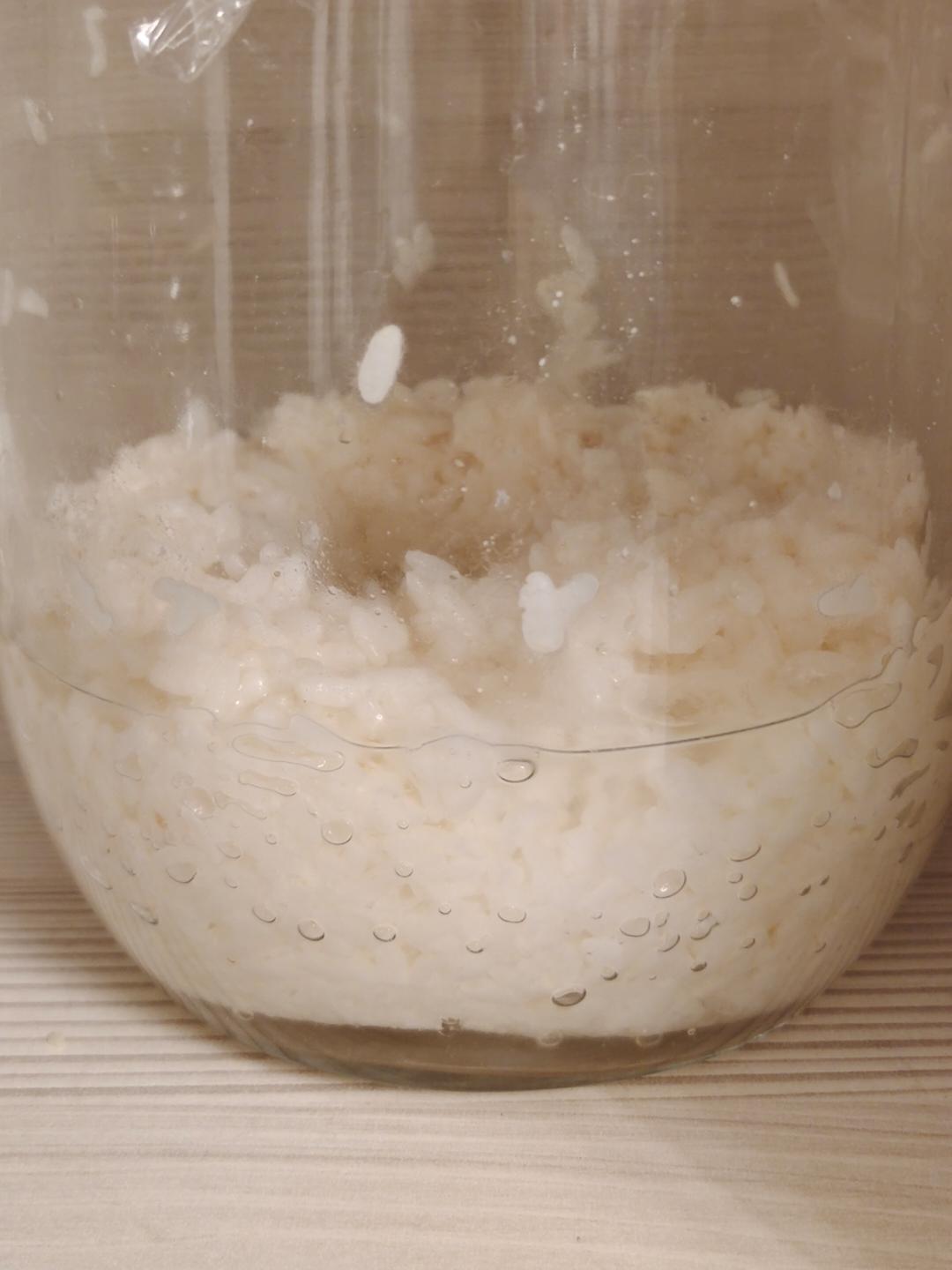 6分钟自制米酒【省事米酒最简易的打开方式】ヽ(•̀ω•́ )ゝ自制酒糟.醪糟.酒酿