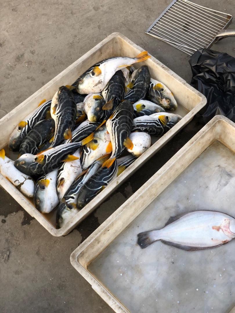 记录我做过的海鲜们