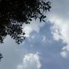 QQ空间用户_udlea