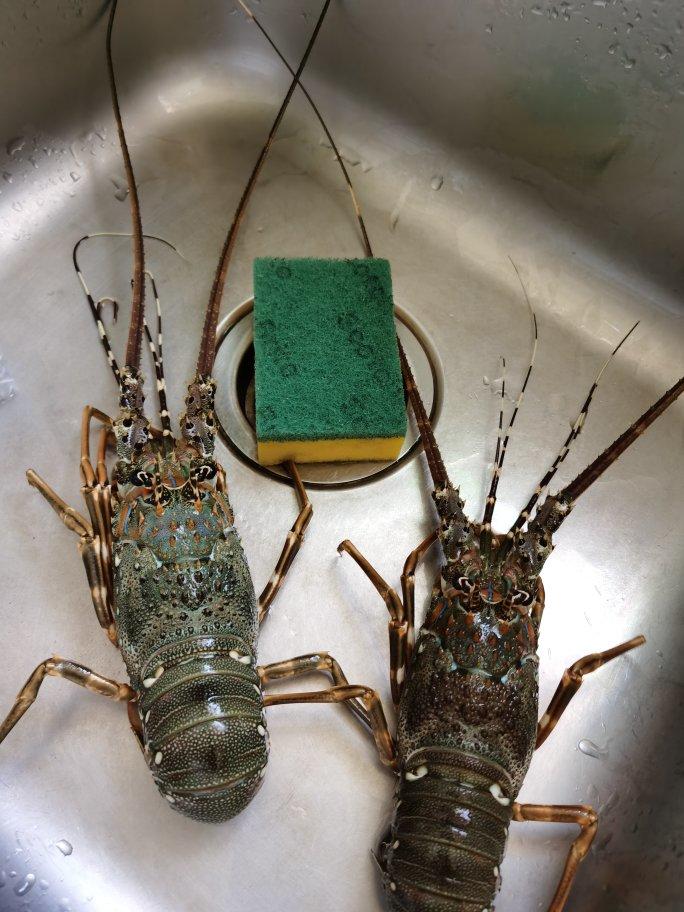 清蒸蒜泥大龙虾