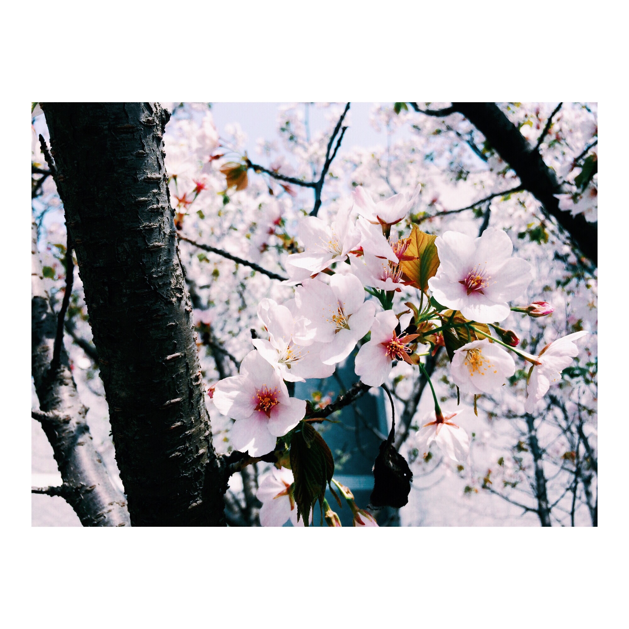 姗小爷