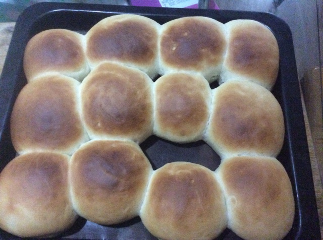 汉堡胚（中种法）