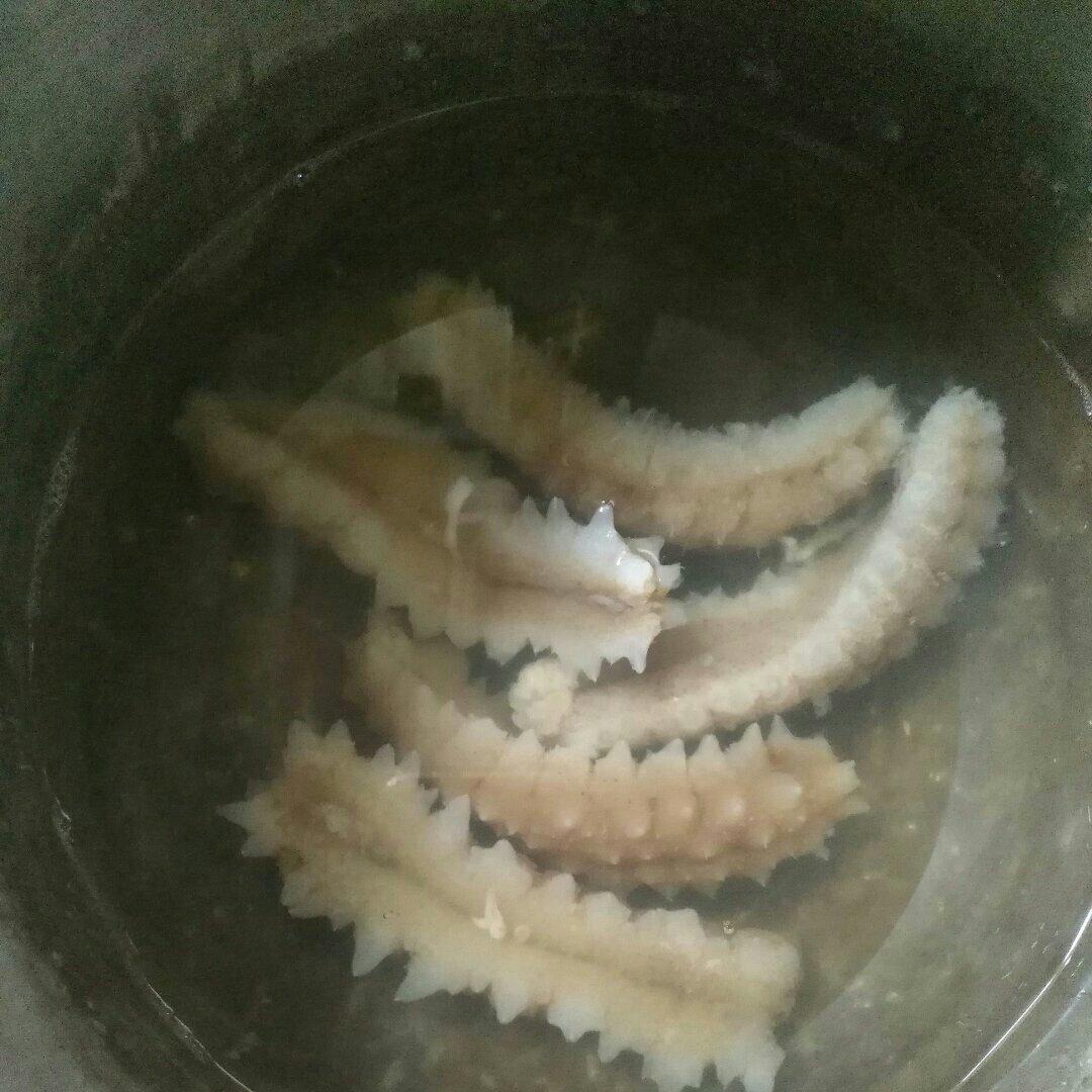 海参泡发攻略