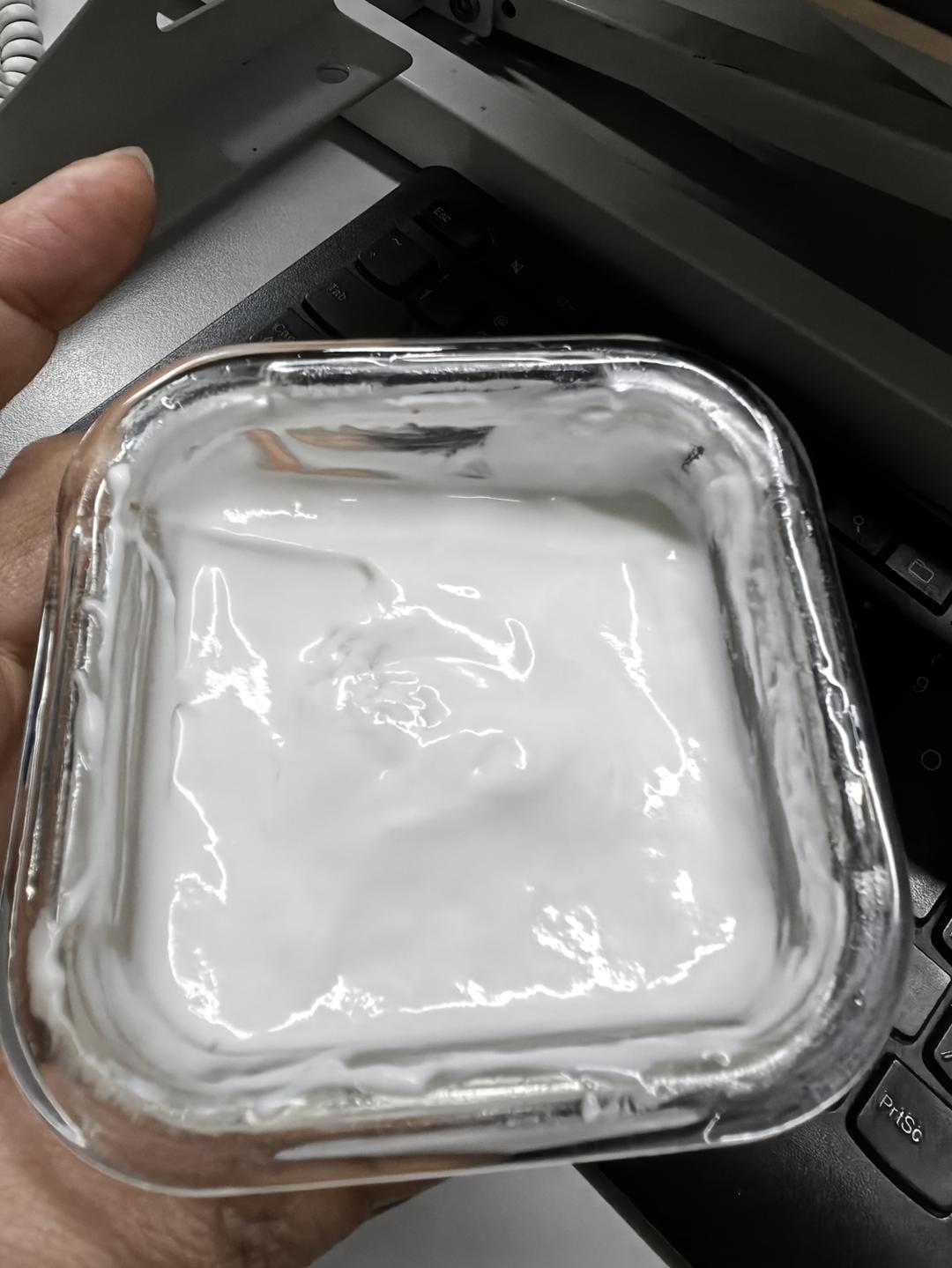 纯素椰子酸奶！不含乳制品～超浓郁！保姆级教程