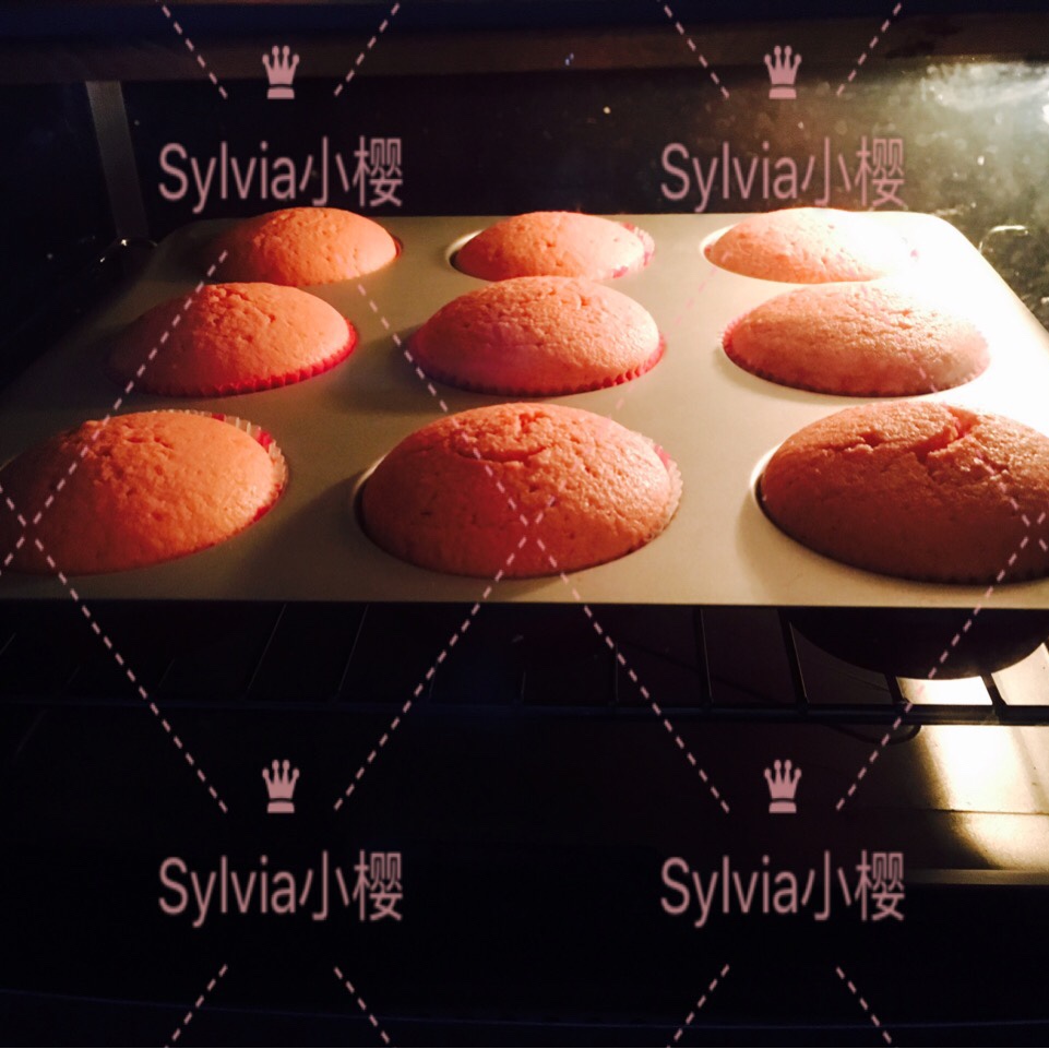 洋桔梗少女杯子蛋糕