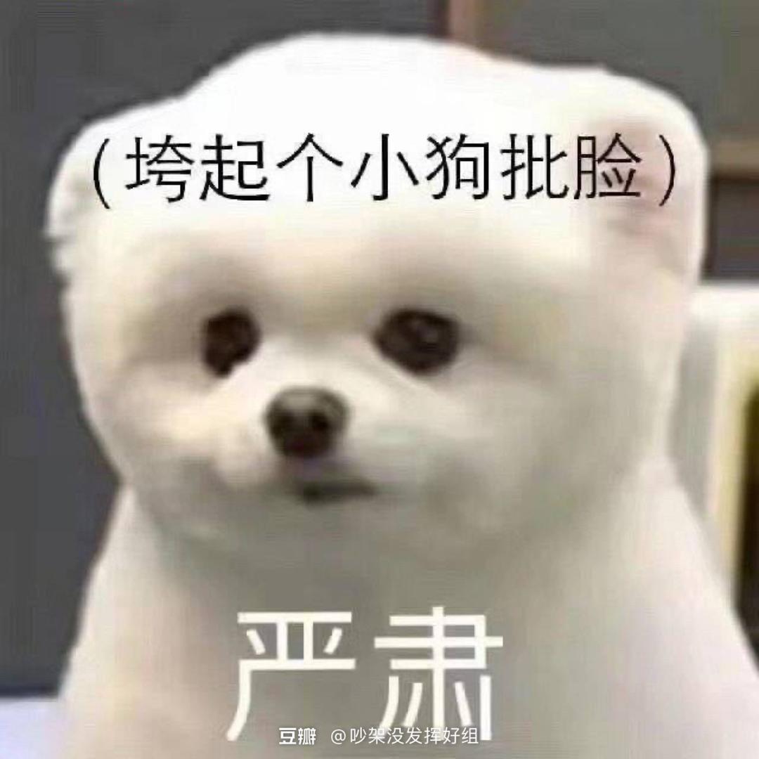 莓果崽