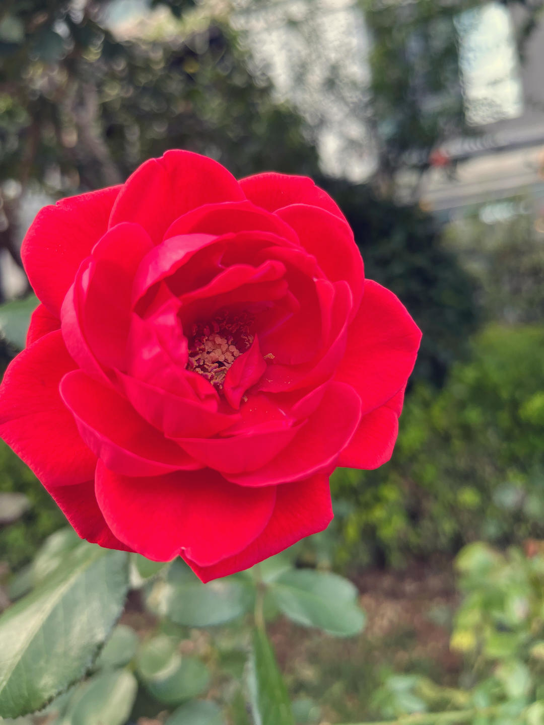 朵妈家小厨房