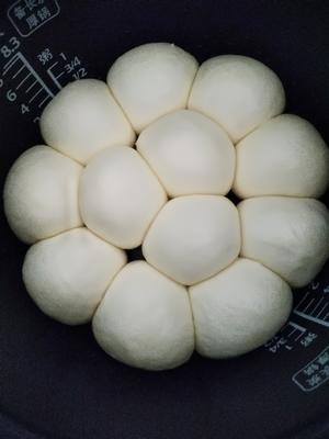 用电饭锅一次发酵做出好吃的面包（无需揉出膜）的做法 步骤7