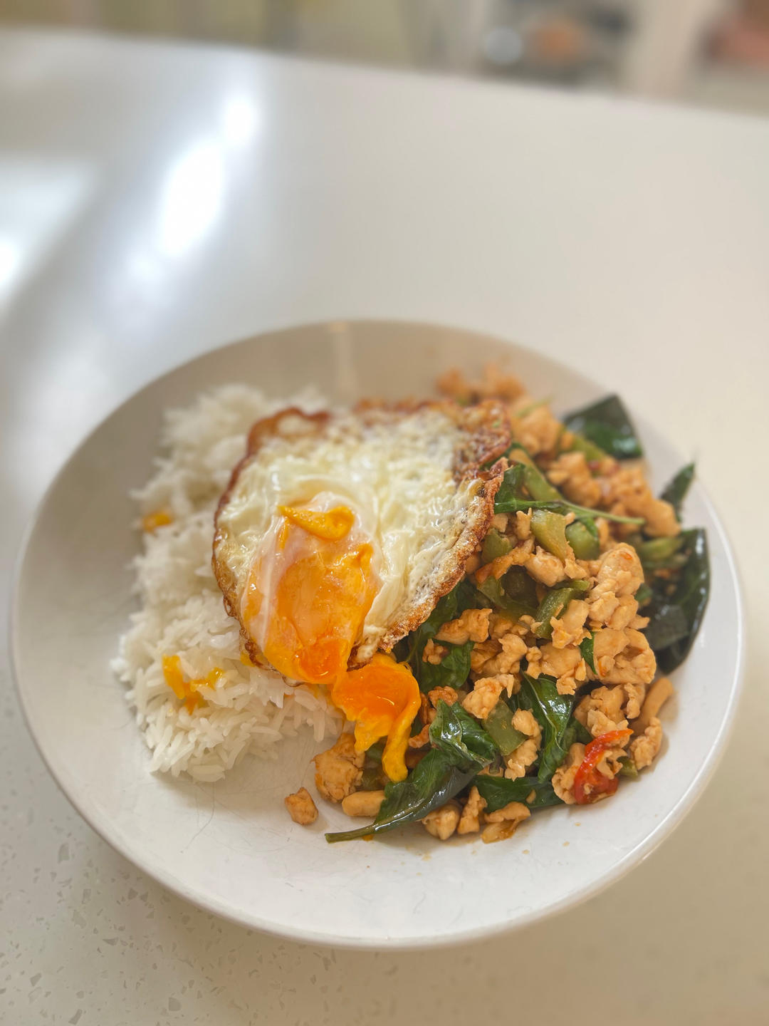 【泰式打抛鸡丁】 pad kra pao gai ผัดกระเพราไก่
