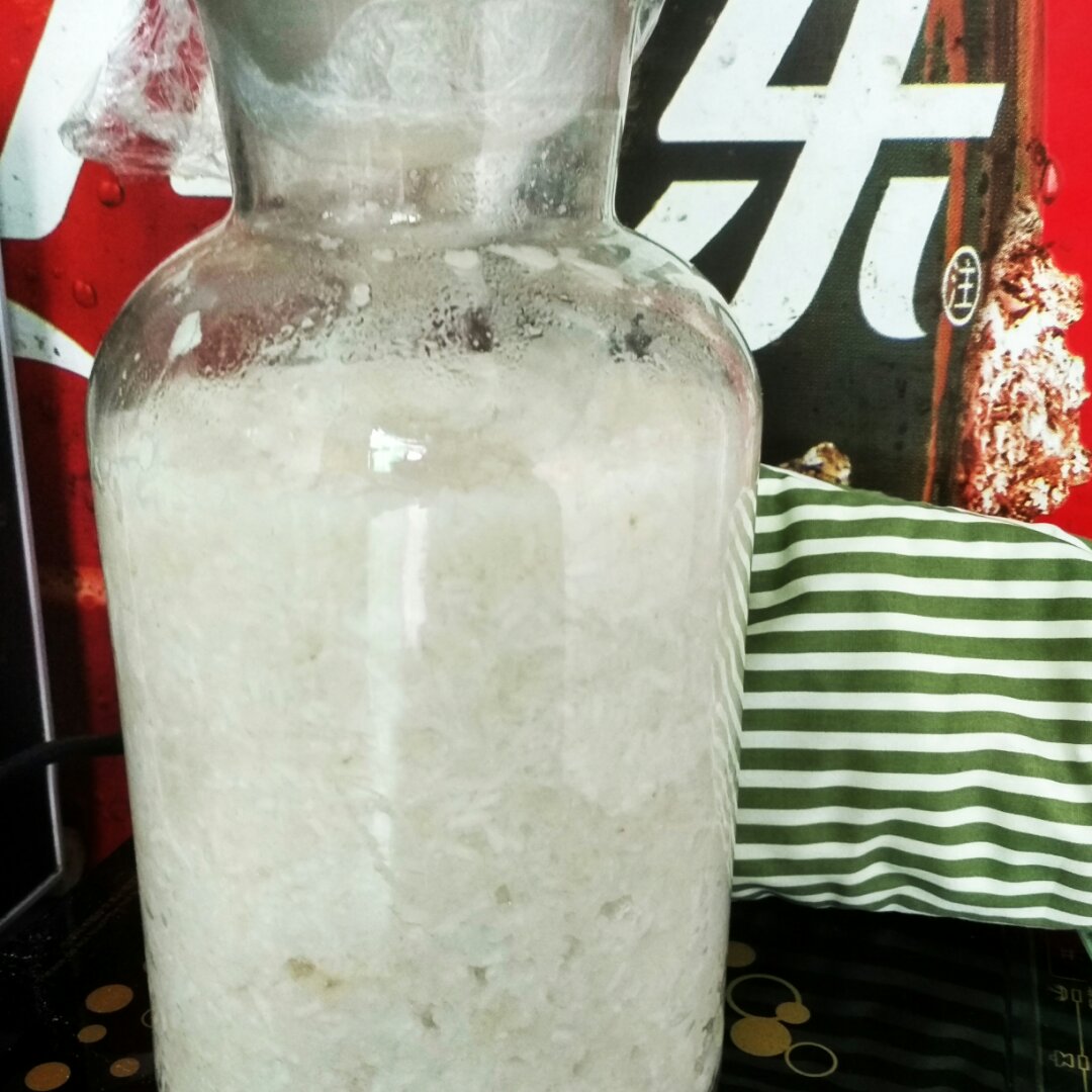 米酒，酒酿，醪糟