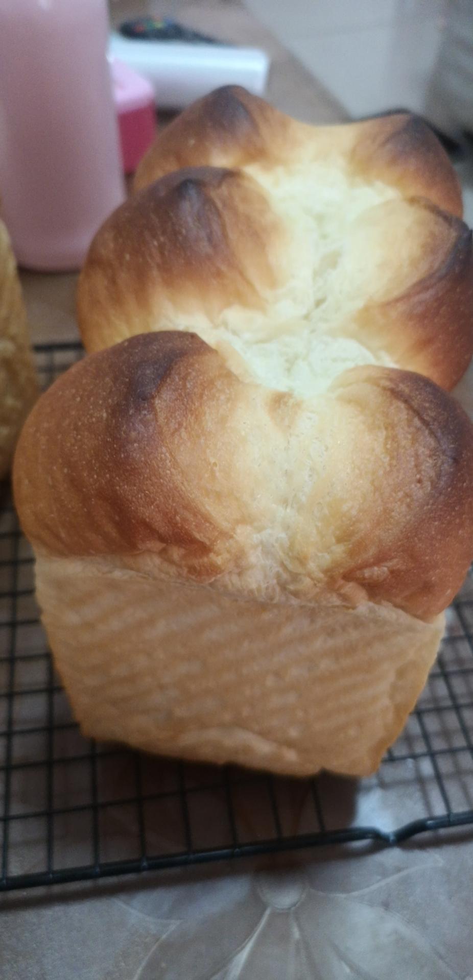 鲜奶液种超熟吐司