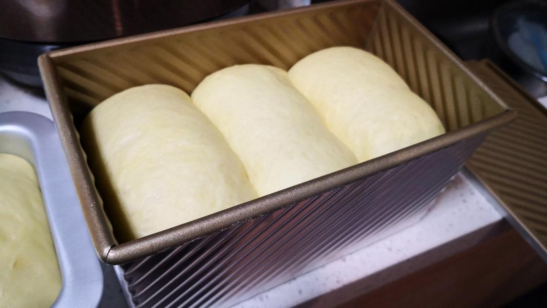 夺命软吐司(๑´ڡ`๑)超软拉丝极速方便的一次发酵吐司