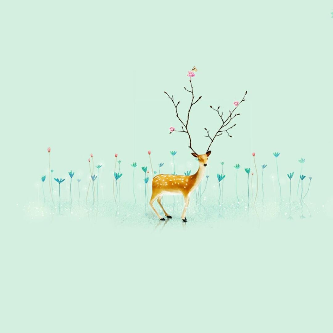 蒂有余香金淡泊