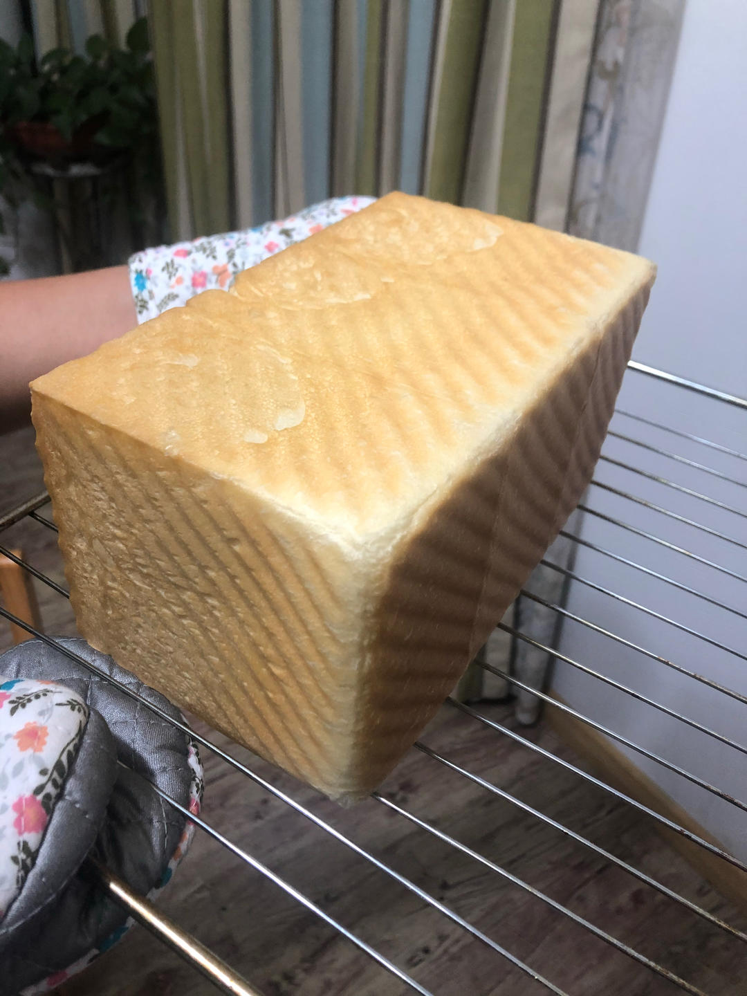 每周必撸的软吐司