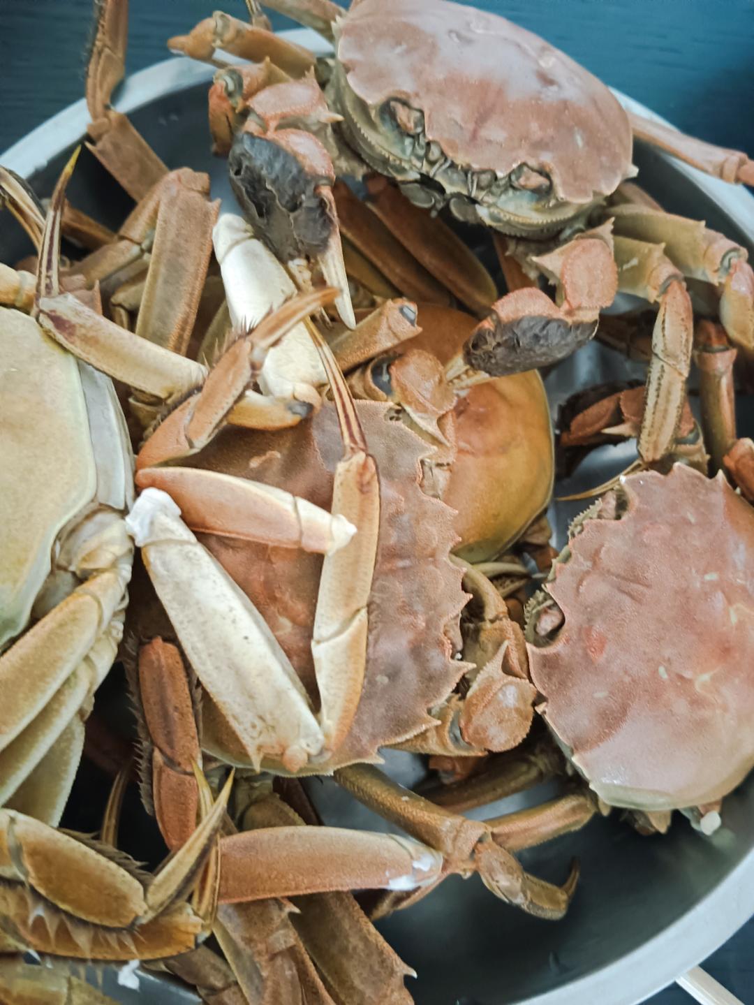 清蒸大闸蟹