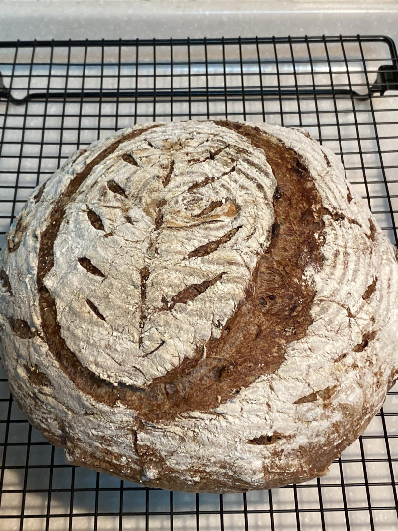 天然酵种乡村欧包/鲁邦种