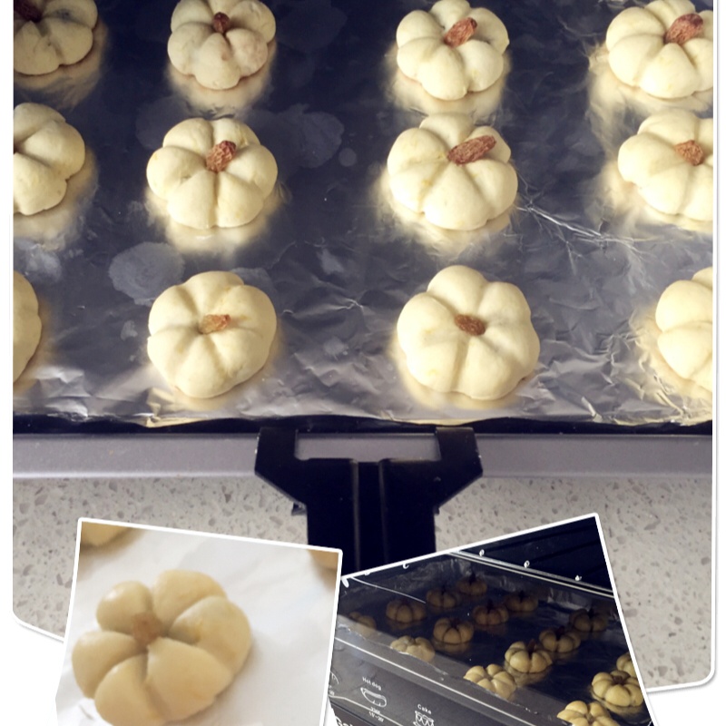 【迷你南瓜饼干】胜在卖萌