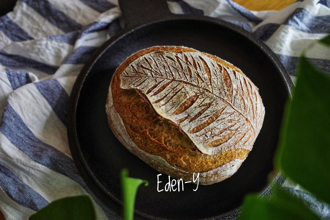 视频教程 天然酵种欧包 基础配方＆制作流程