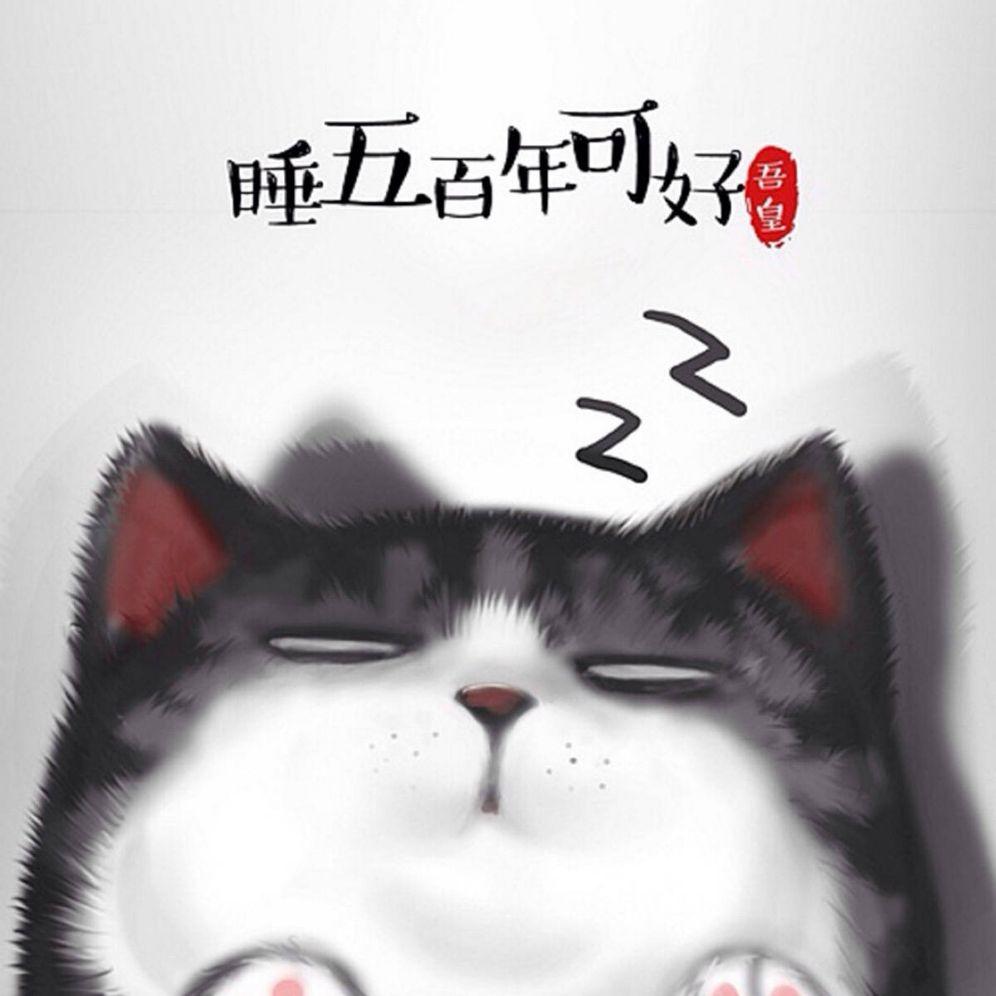 藜不一