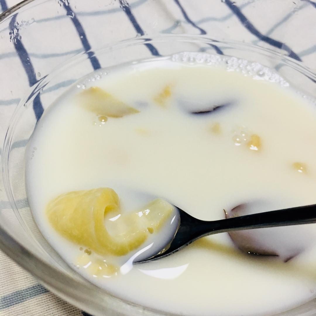 花胶炖牛奶