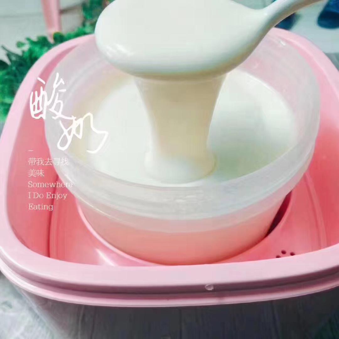 酸奶机自制酸奶