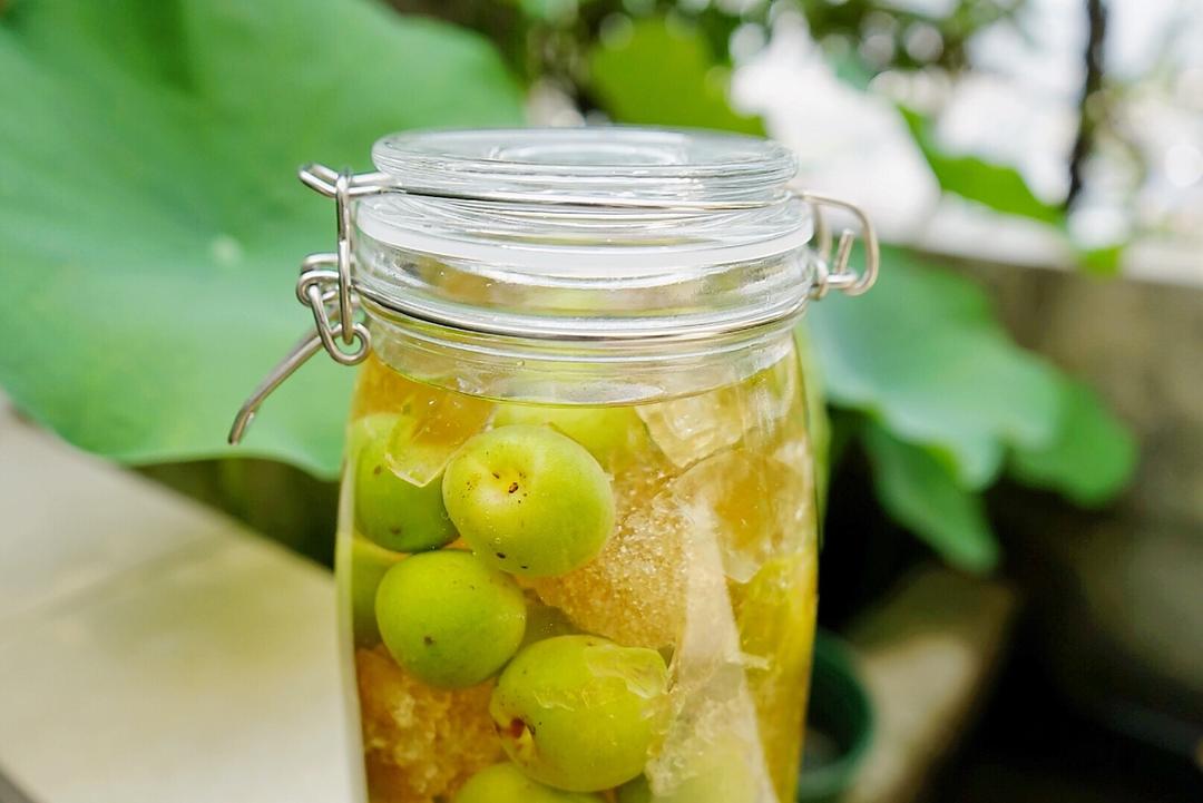 【青梅酒】梅子的沉醉时光（已填坑）