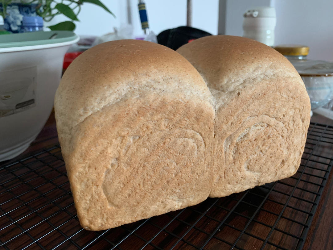 健康全麦吐司（超详细手揉水合法）