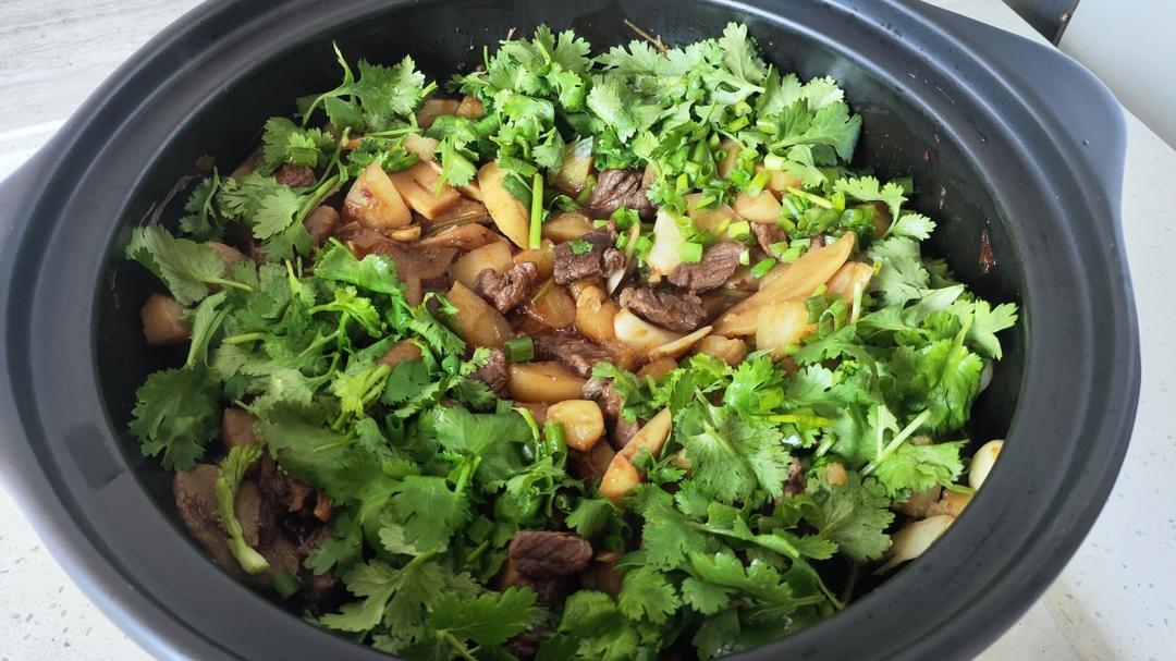土豆牛腩煲