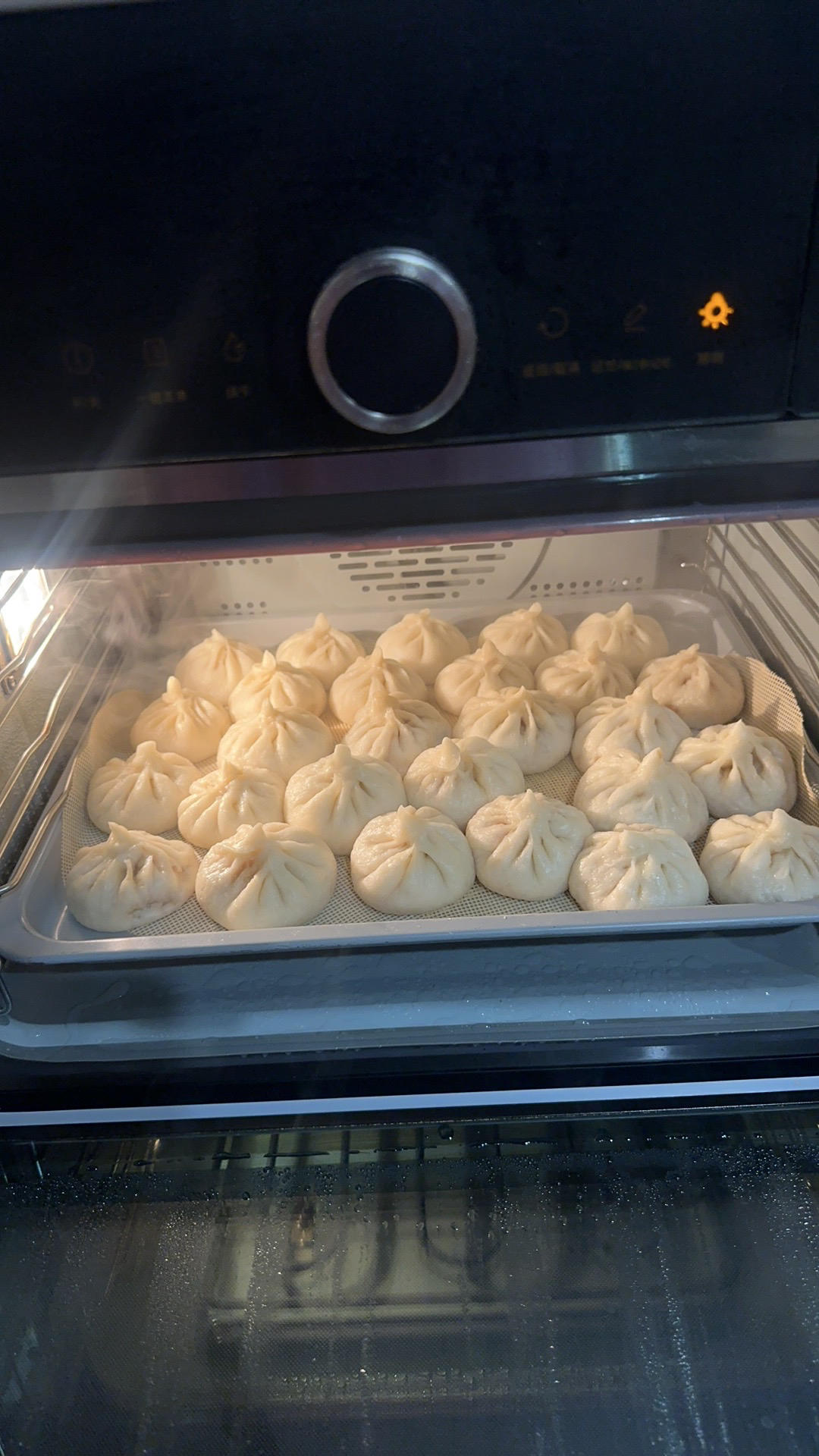 好吃多汁的肉包子肉馒头【步骤超详细】