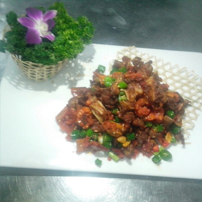 给予了我最亲密的陪伴