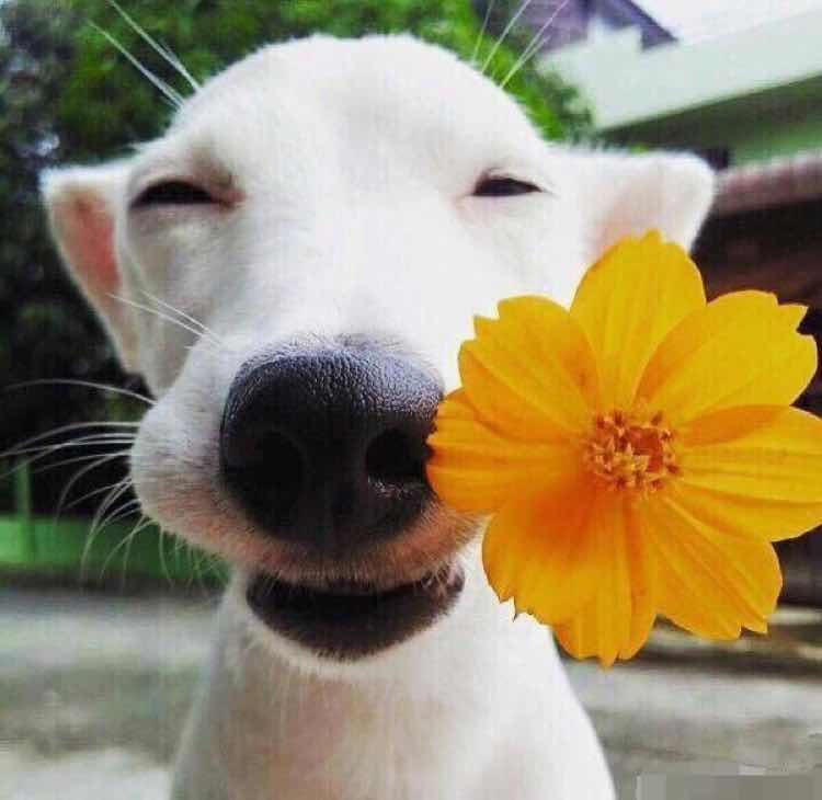 星星爱烹饪的厨房