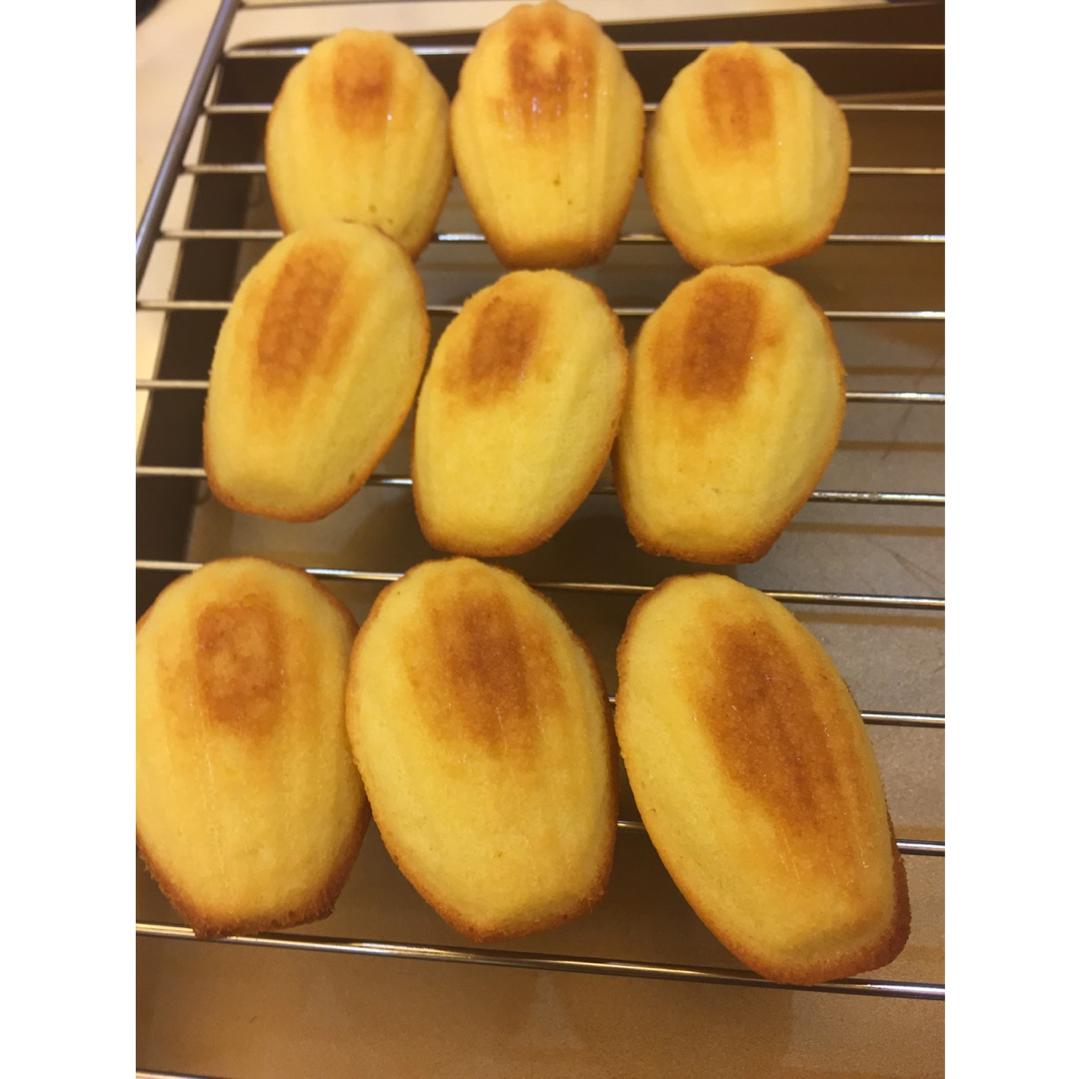 玛德琳（蓝带方）