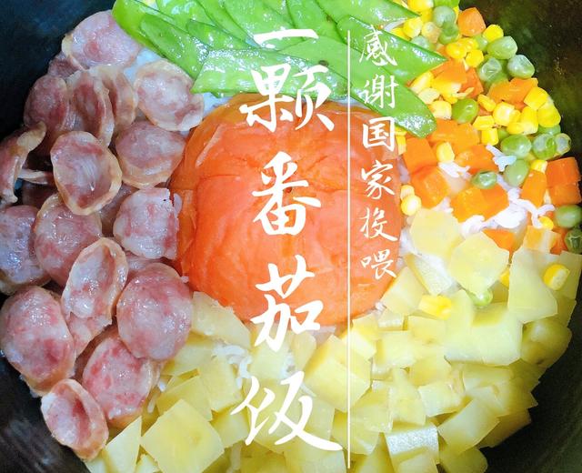 『一颗番茄饭』电饭锅焖饭 煲仔饭的做法