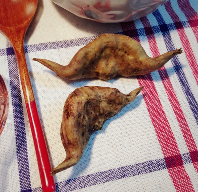 季节性之菱角 老菱