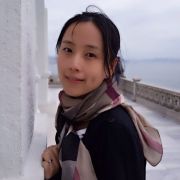 向日葵上的红蚂蚁