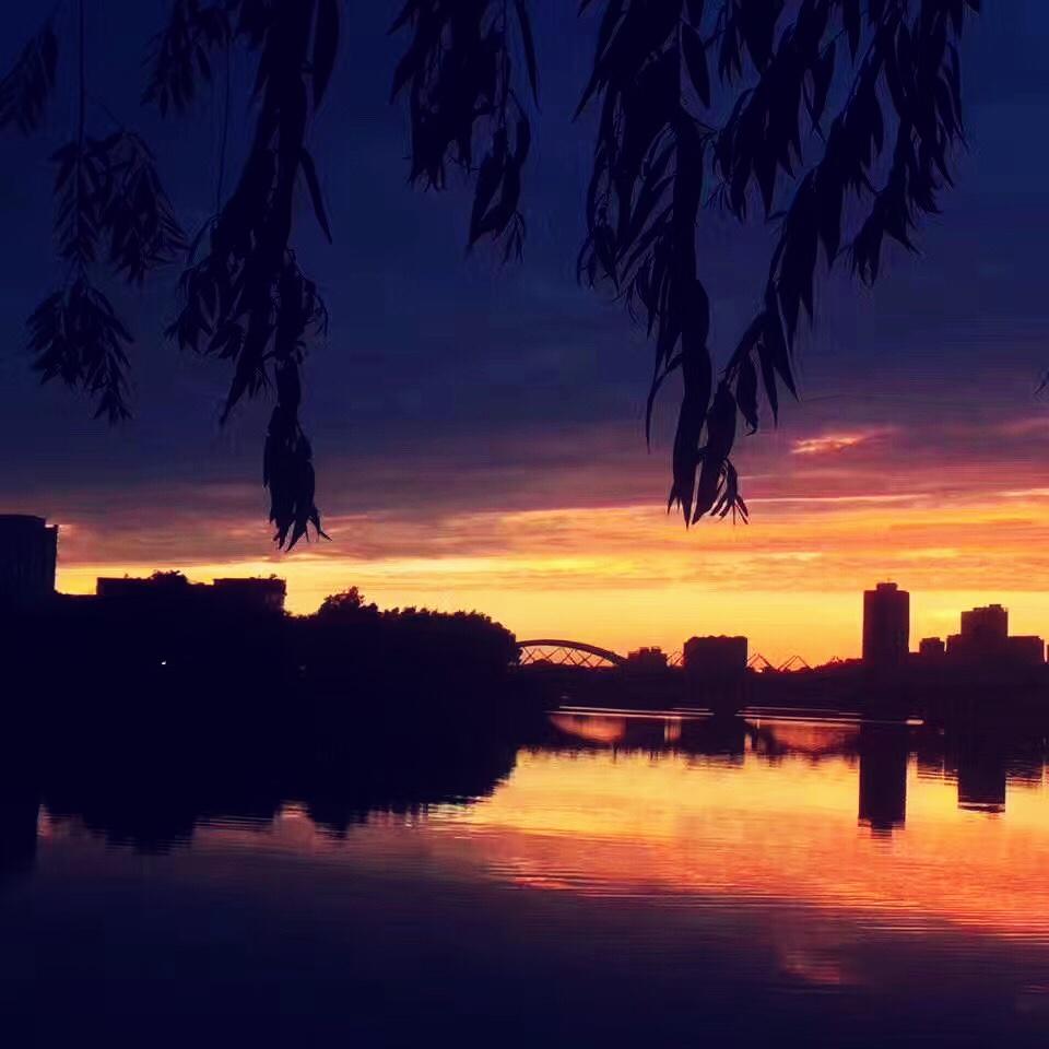 易静易雅