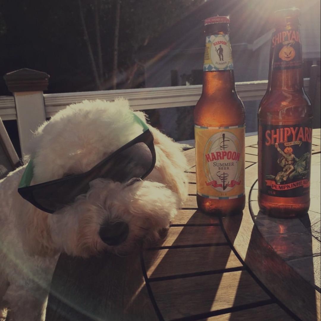 热心用户叶姑娘