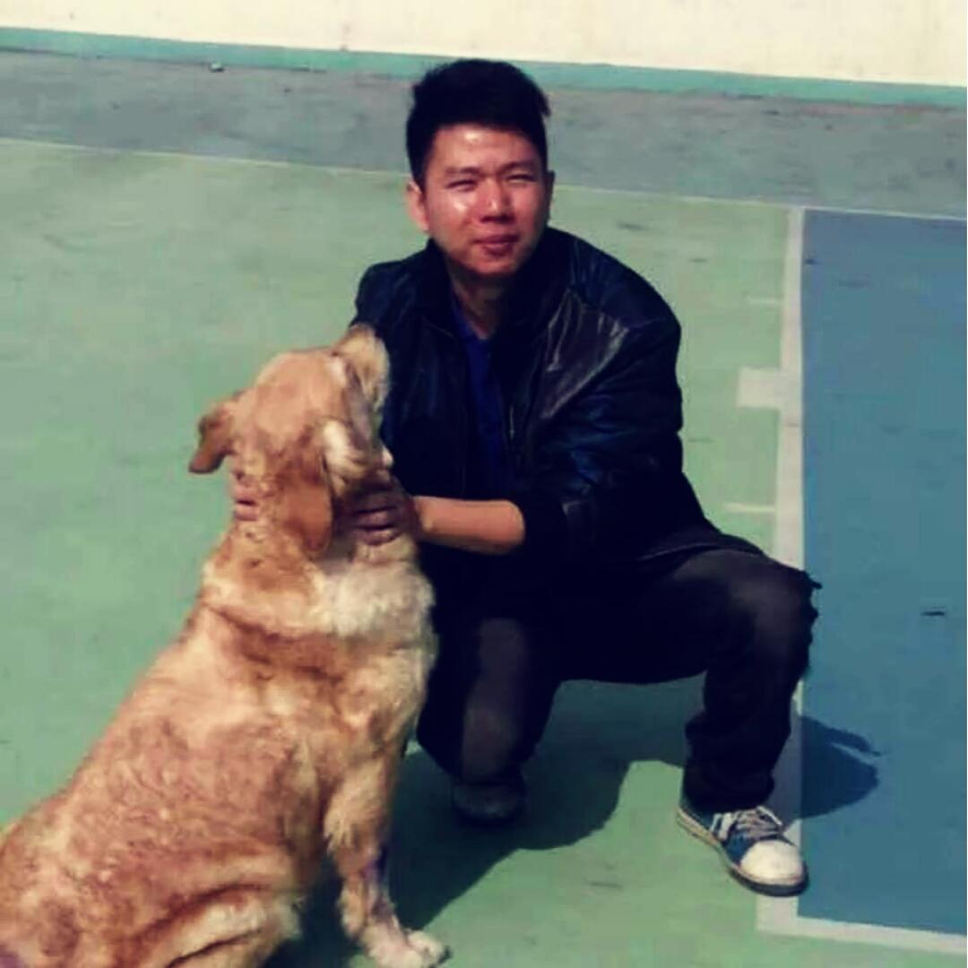 吃货黄子