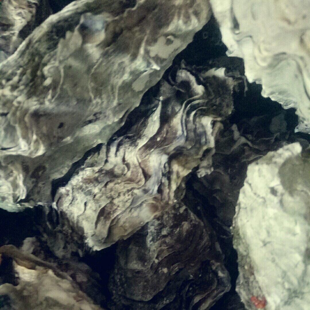 吃生蚝原味才是最鲜的