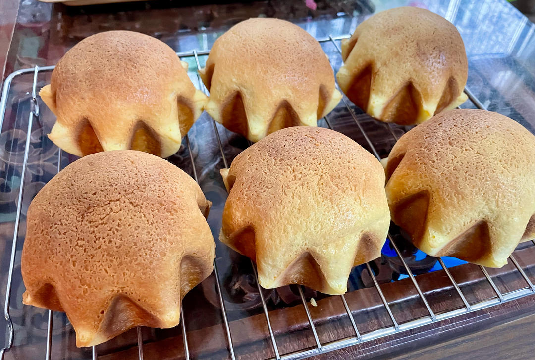 香葱肉松墨西哥包（液种+65度汤种）