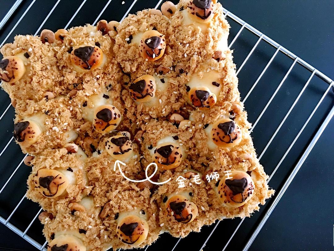 哄娃人气🔥【肉松面包】（65℃汤种）外刚内柔的金毛狮王-每天都是六一节