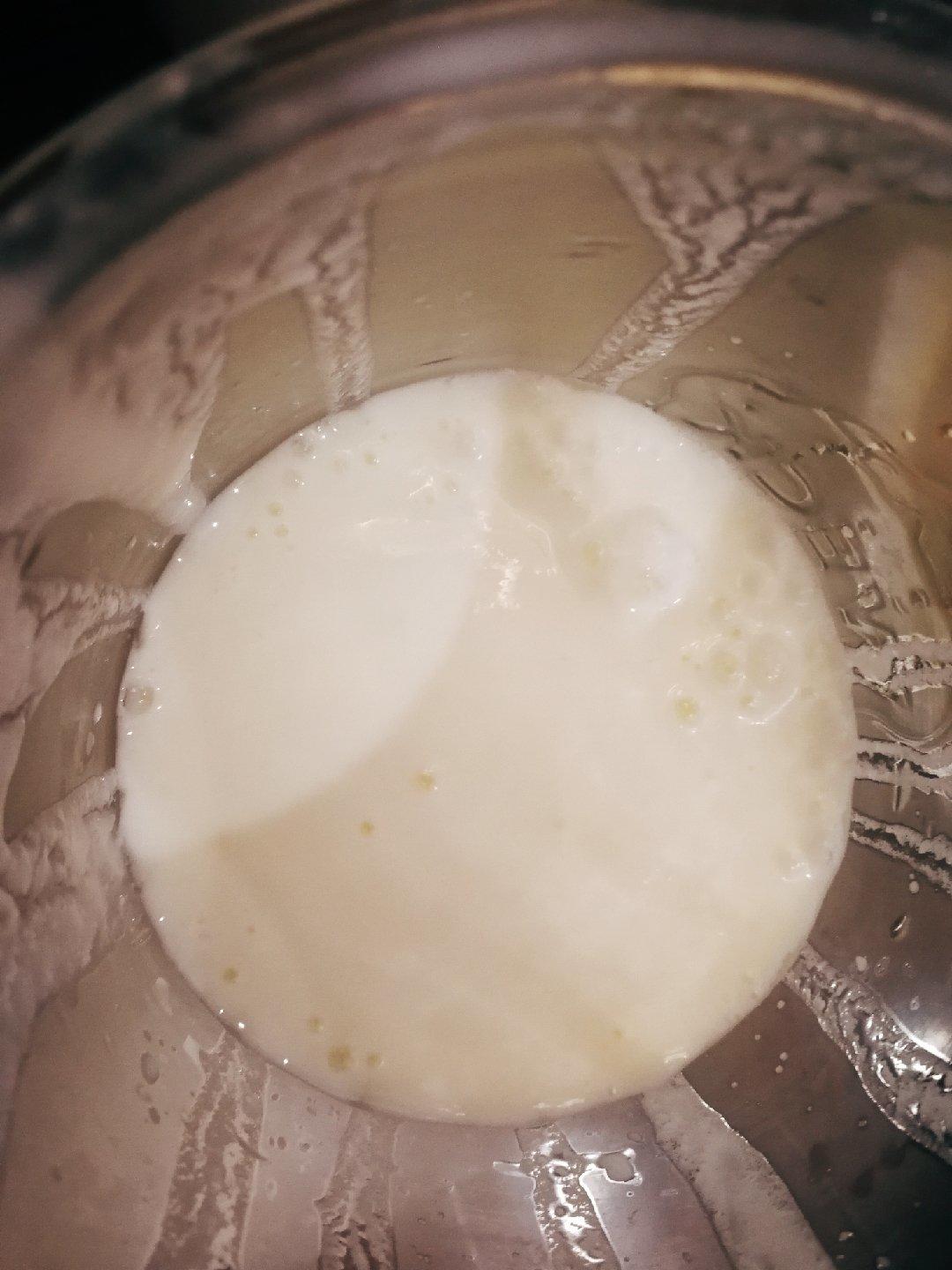 开菲尔酸奶喂养详攻略（milk kefir）丨发酵·奶类