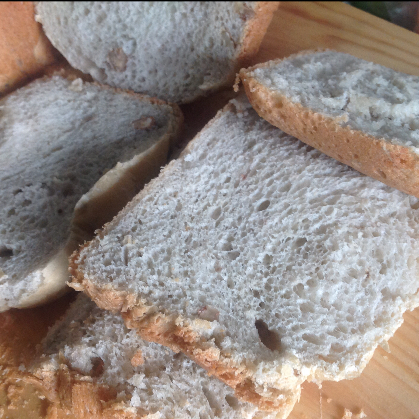 “酒酿葡萄干面包”--面包机版