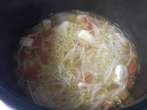 番茄豆芽豆腐汤的做法 步骤10