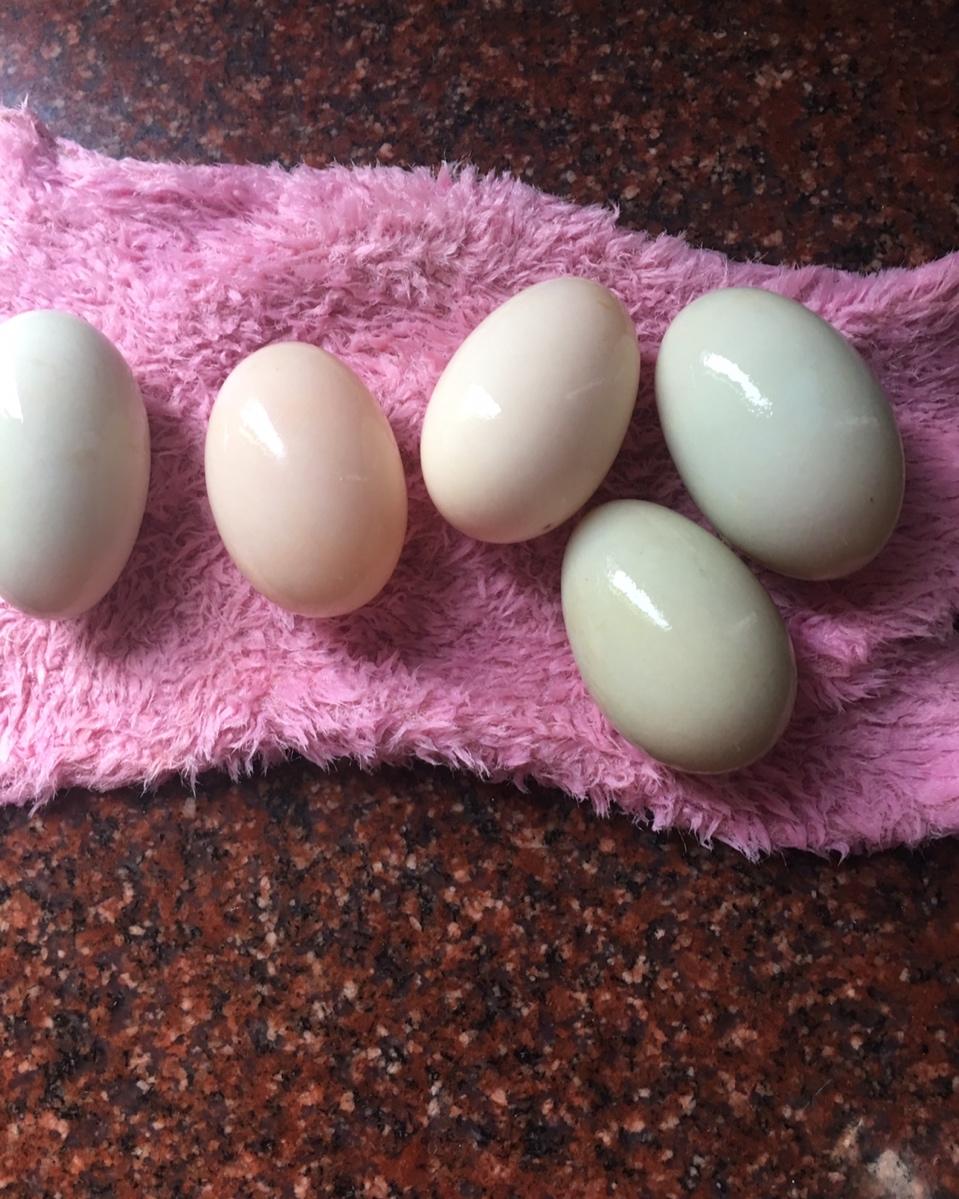 广式月饼—蛋黄莲蓉月饼